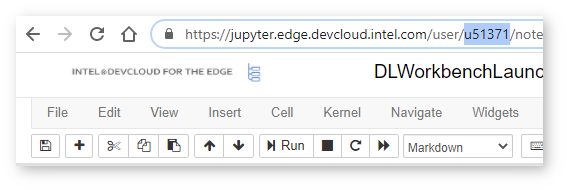 ../_images/devcloud_link.png