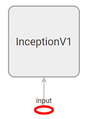 Placeholder in Inception V1